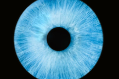 mary-eye