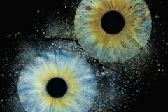 speckle